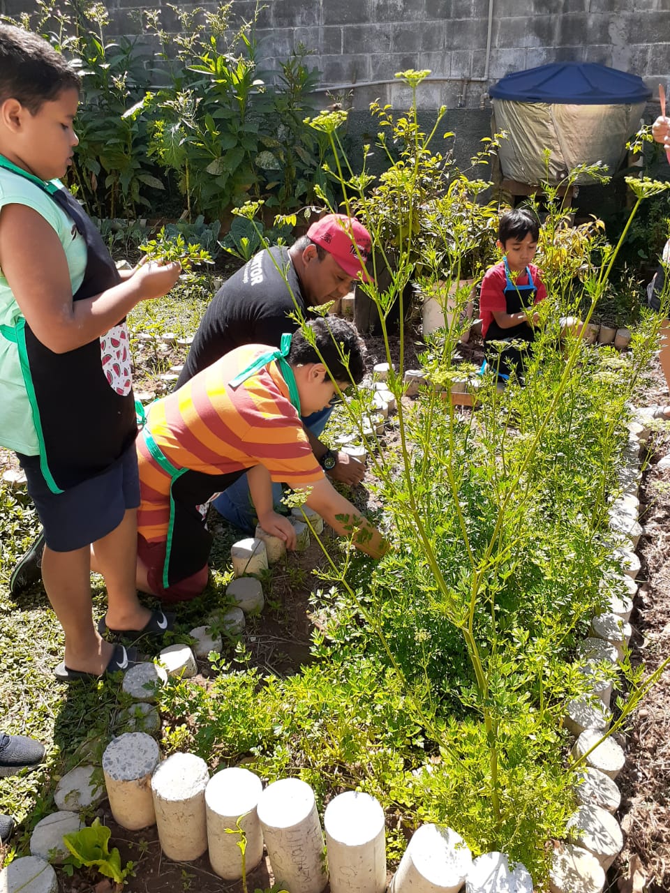 WhatsApp Image 2021-02-09 at 12.29.15 (1).jpeg