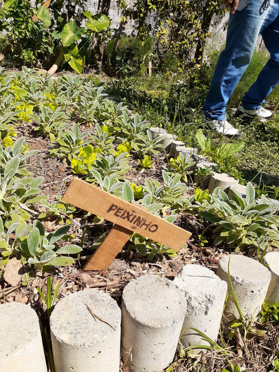 WhatsApp Image 2021-02-09 at 12.29.15.jpeg