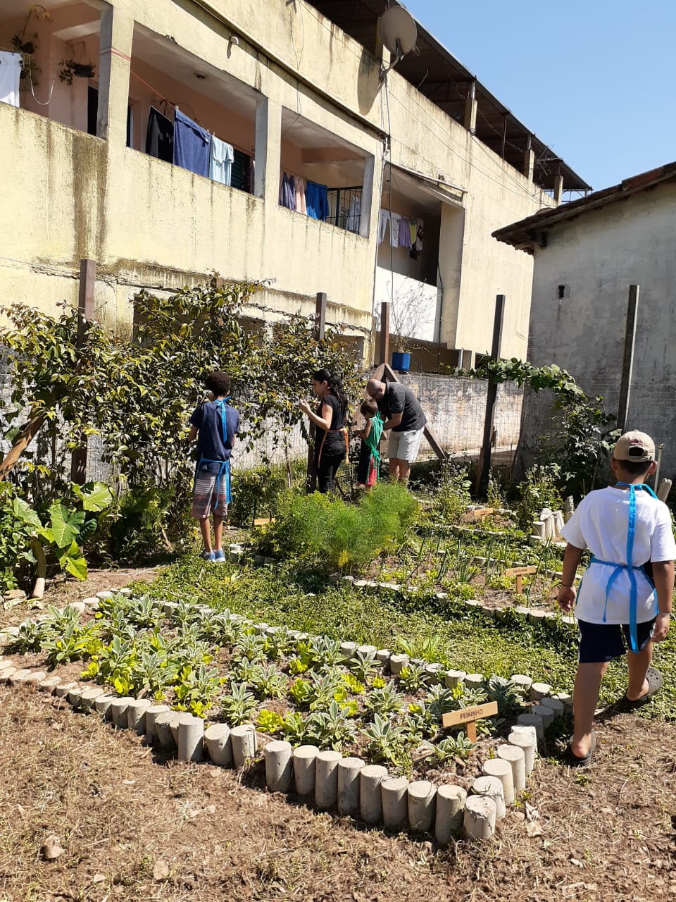 WhatsApp Image 2021-02-09 at 12.29.14.jpeg