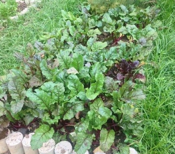 WhatsApp Image 2021-02-09 at 12.36.39 (1).jpeg